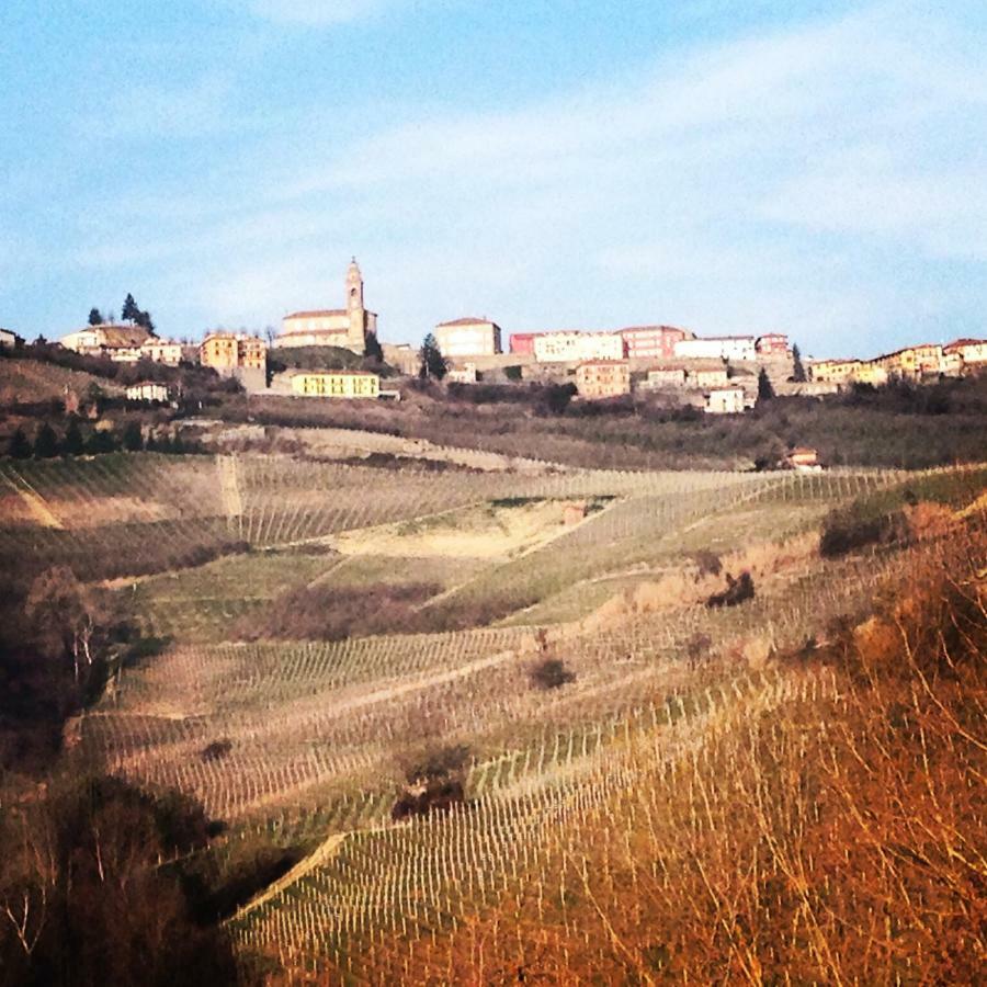 Cascina Maina Vila Diano dʼAlba Exterior foto
