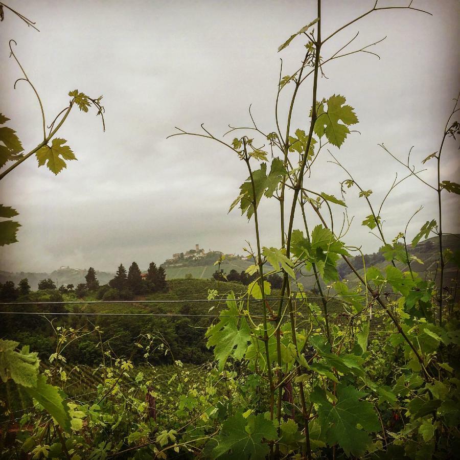 Cascina Maina Vila Diano dʼAlba Exterior foto